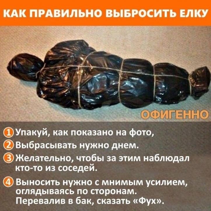 КАК ПРАВИЛЬНО ВЫБРОСИТЪ ЕЛКУ Упакуй как показано на фото Выбрасывать нужно днем Желатепьно чтобы за этим наблюдал кто то из соседей Выносить нужно с мнимым усилием оглядываясь по сторонам Перевалив в бан сказать Фух