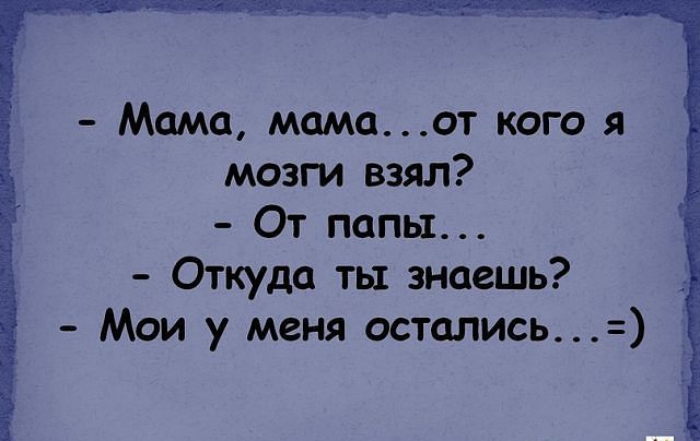 Мама мамаот кого я мозги взял От папы Откуда ты знаешь Мои у меня остались__