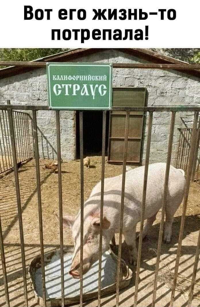 Ёе4 Вот его жизнь 1 потрепала