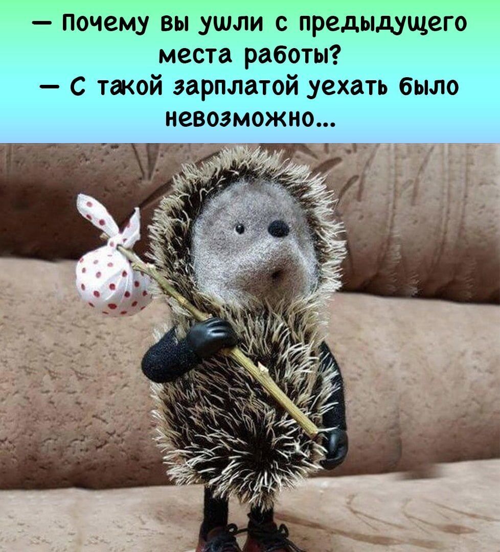 почему вы _ушли с предыдущего места работы С такой зарплатой уехать было невозможно