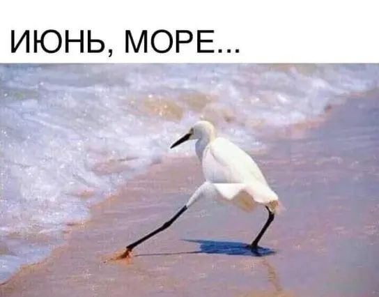 Июнь, море....