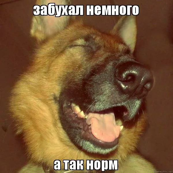 ЗЩЩЗЛ НЕМНВШ
