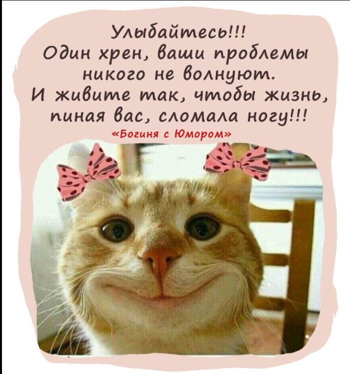 УАыбайтесь Один хрен башц проблемы никого не Воднуюм И жцбцме так чтобы жизни пиная бас сАомаАа ногу Богиня с Юмврвм