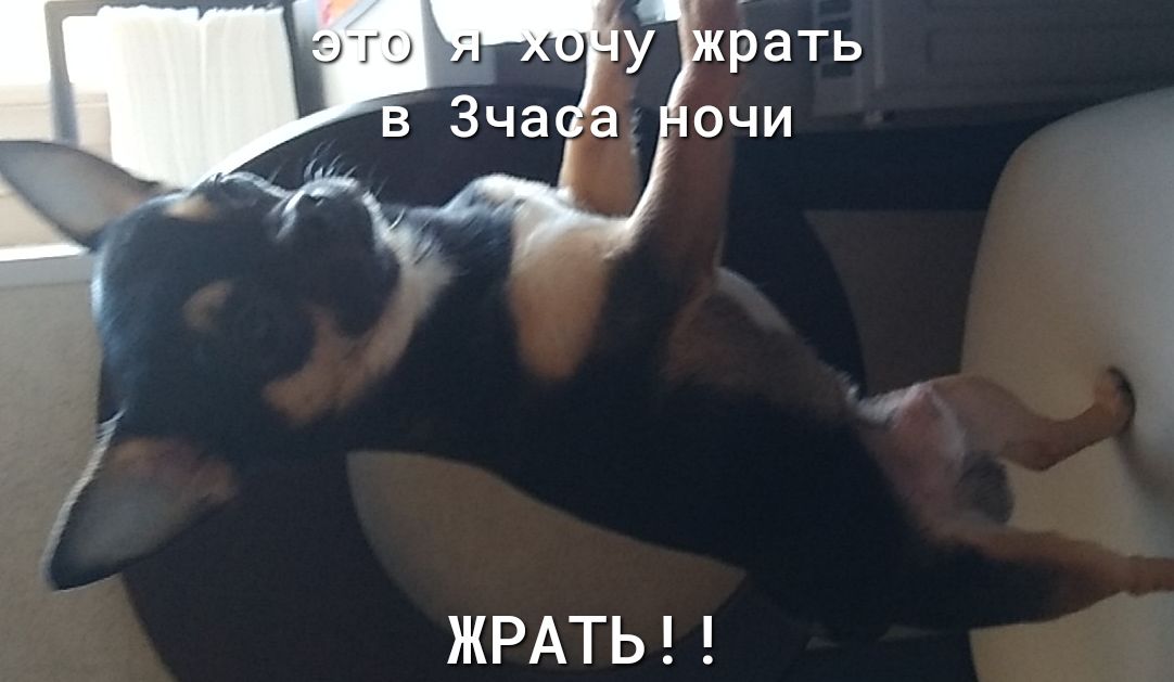 ЖРАТЬ