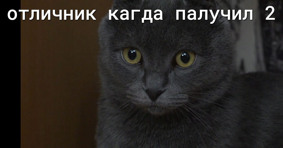 ОТЛИЧНИК кагда ПЭЛУЧИЛ 2