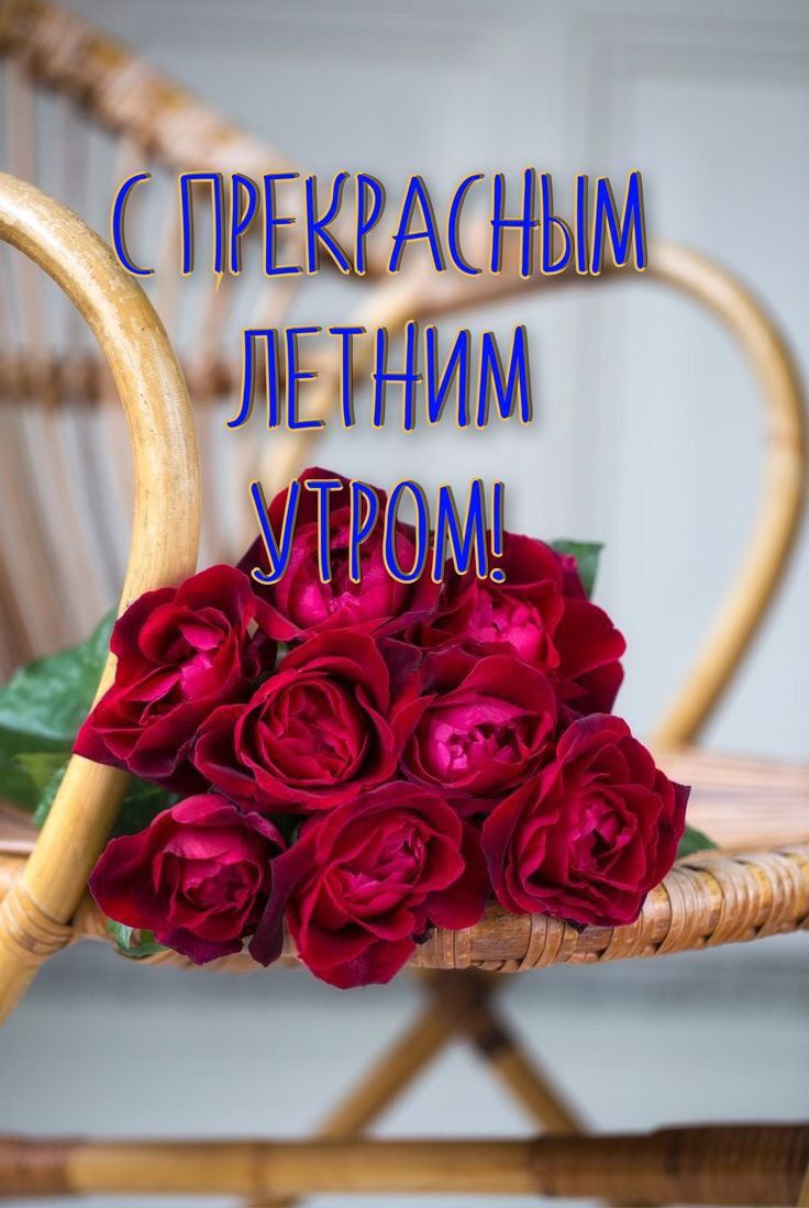 С ПРЕКРАШЫМ
