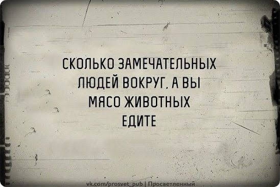СКОЛЬКО ЗАМЕЧАТЕЛЬНЫХ ЛЮДЕЙ ВОКРУГ А ВЫ МНЕО ЖИВОТНЫХ ЕДИТЕ