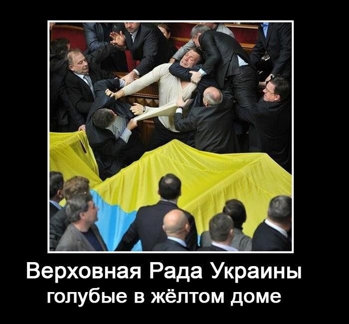 Верховная Рада Украины голубые в жёлтом доме
