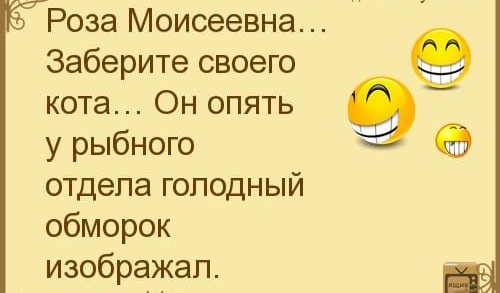 Роза Моисеевна Заберите своего кота Он опять у рыбного отдела голодный обморок изображал