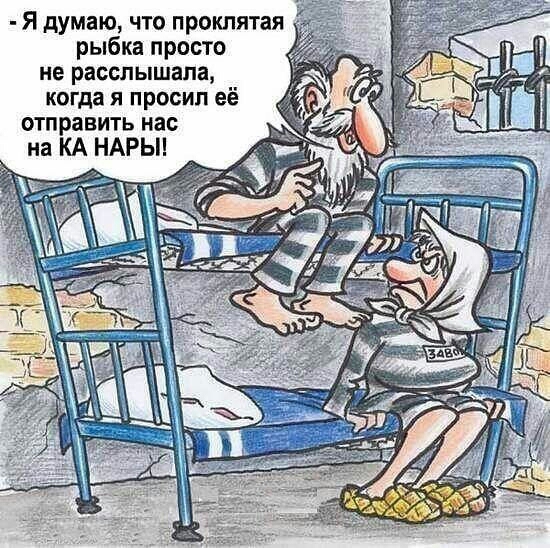 Я думаю что проклята рыбка просто не расслышала когда я просил её отправить нас