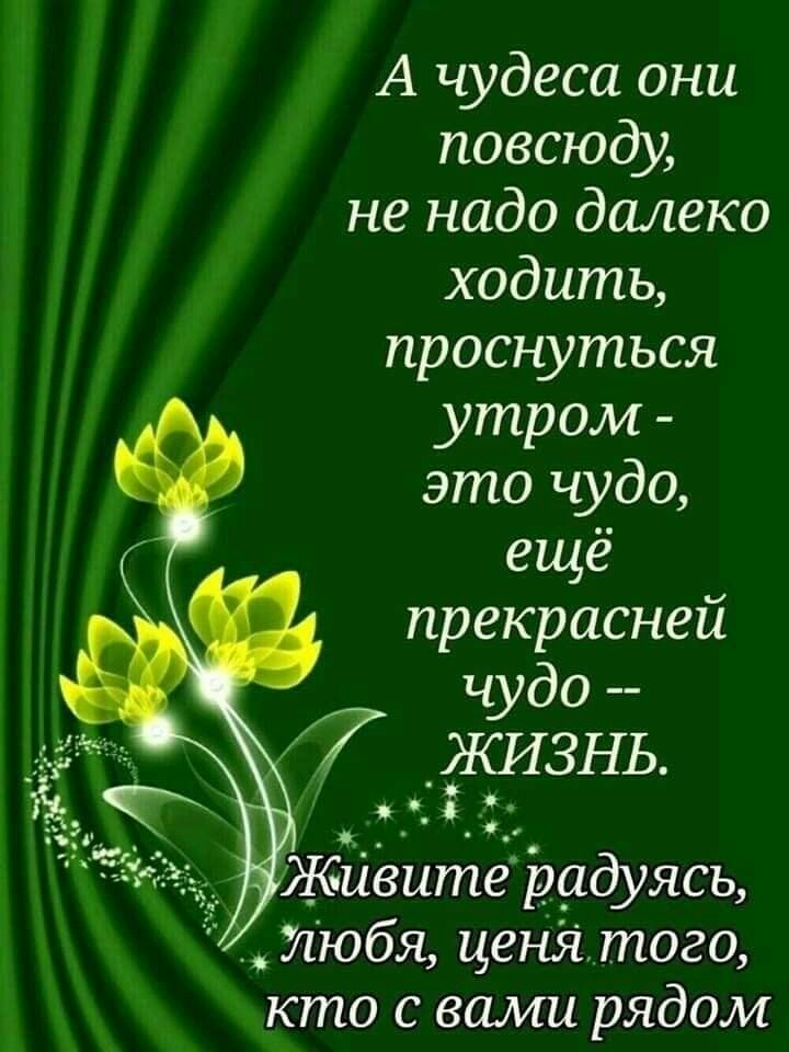 А чудеса они повсюду не надо далеко ходить проснуться утром это чудо ещё прекрасней чудо Жйеитеродуясь Любя ценЯтого кто с вами рядом