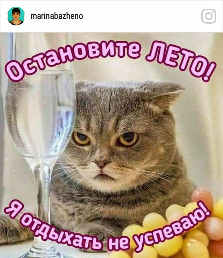 тагіпаЬаипепо