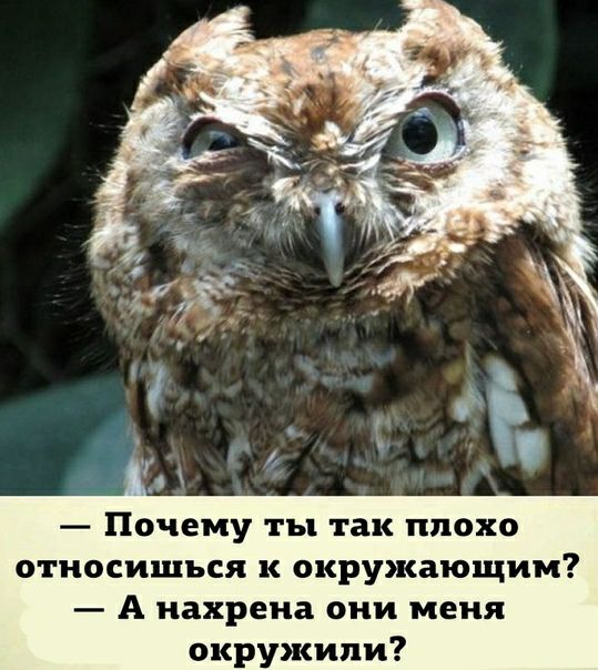 Почему ты так плохо относишься к окружающим А нахрена они меня окружили