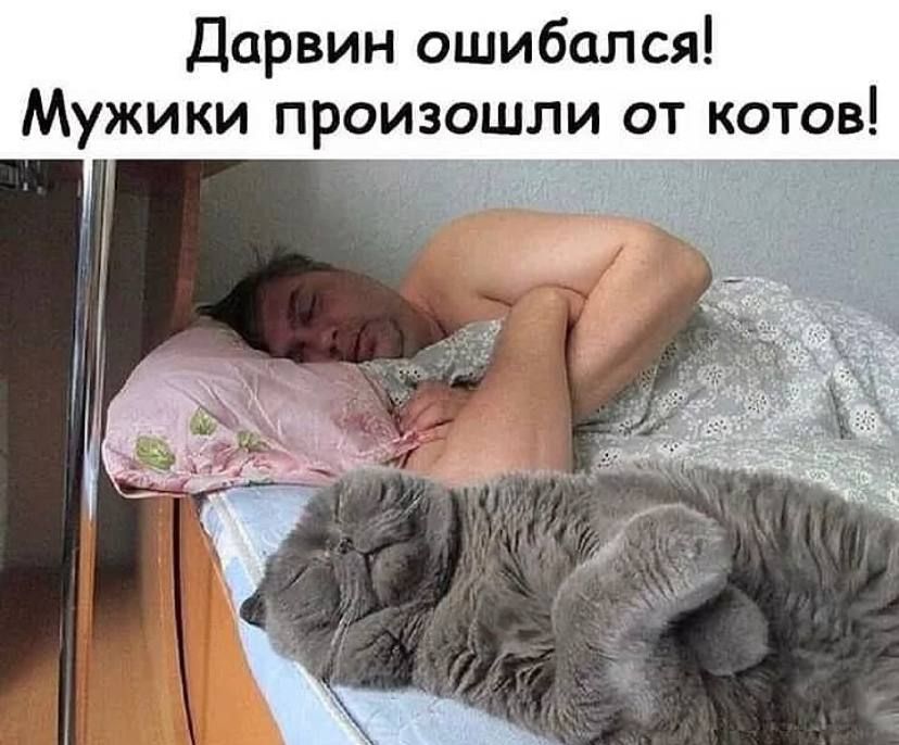 Дарвин ошибался Мужики произошли от котов