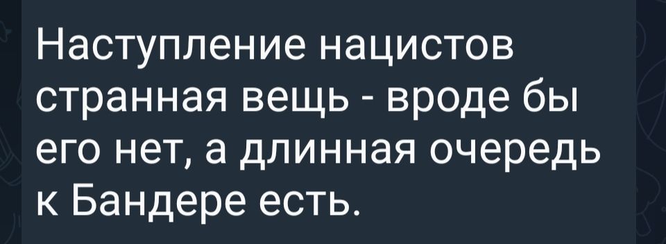 Наступление нацистов странная вещь вроде бы его нет а длинная очередь к Бандере есть