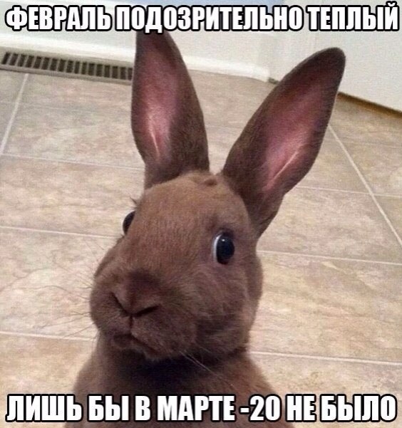 ЛИШЬ БЫ В МАРТЕ 20 НЕЁЁШШ