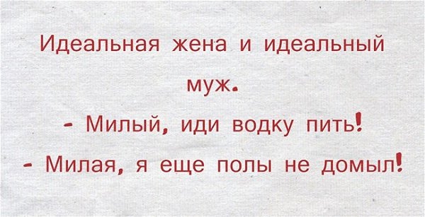 Идеальная жена и идеальный муж Милый иди водку пить Милая я еще попы не домып