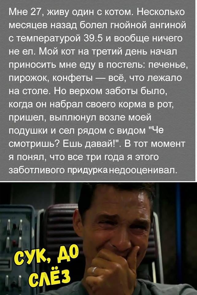 Мне 27 живу один с котом Несколько месяцев назад болел гнойной ангиной с температурой 395 и вообще ничего не ел Мой кот на третий день начал приносить мне еду в постель печенье пирожок конфеты всё что лежало на столе Но верхом заботы было когда он набрал своего корма в рот пришел выплюнуп возле моей подушки и сел рядом с видом Че смотришь Ешь давай В тот момент я понял что все три года я этого заб