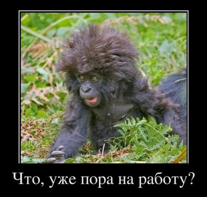 Что уже пора на работу