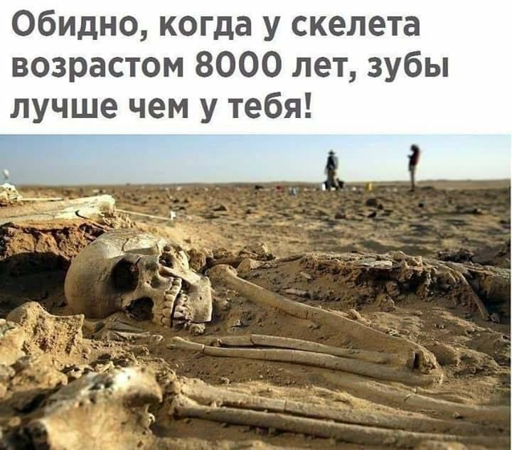 Обидно когда у скелета возрастом 8000 лет зубы лучше чем у тебя