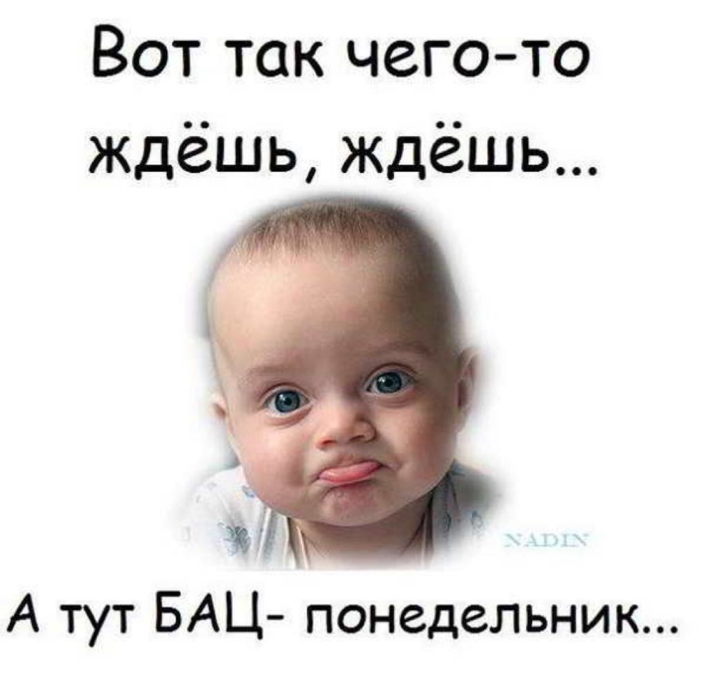 Вот так чего то ждёшь ждёшь ці А тут БАЦ понедельник