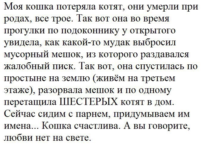 Моя кошка потеряла котят они умерли при родах все трое Так вот она во время прогулки по подоконнику у открытого увидела как какой то мудак выбросил мусорный мешок из которого раздавался жалобный писк Так вот она спустилась по простыне на землю живём на третьем этаже разорвала мешок и по одному переташила ШЕСТЕРЫХ котят в дом Сейчас сидим с парнем придумываем им имена Кошка счастлива А вы говорите 