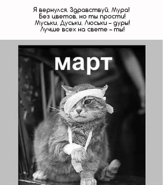 Я вернуэн 39ровствуи Мура Без цветов но ты прости Муськц Ауськи Аюськц вуры Аучше всех но свете ты
