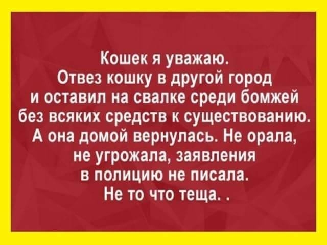 Кошек я уважаю Отвез кошку в другой город и оставил на свалке среди бомжей без всяких средств к существованию А она домой вернулась Не орала не угрожала заявления в полицию не писала Не то что теща