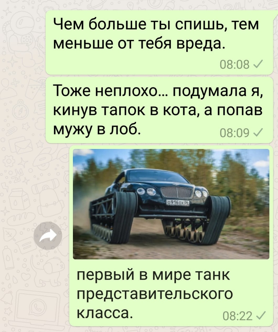 Чем больше ты спишь тем меньше от тебя вреда 0808 Тоже неплохо подумала я кинув тапок в кота а попав мужу в лоб 0809 первый в мире танк представительского класса 0822
