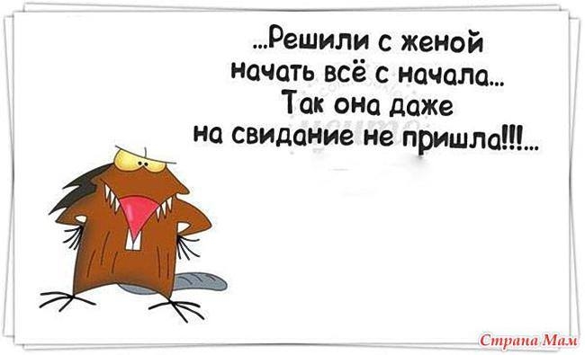 Решили с женой начать всё с начала Так оно даже на свидание не пришло Ст м