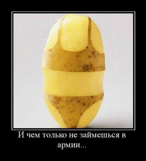 И чем только не займешься в армии