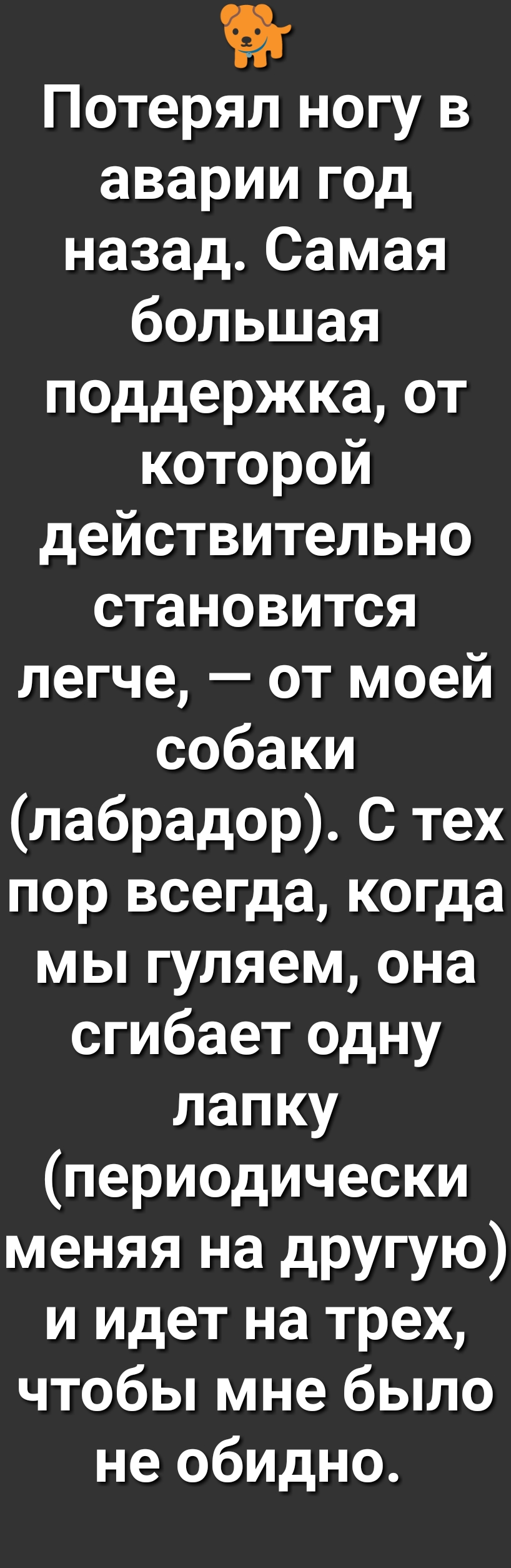Потерял ногу в аварии год назад Самая большая поддержка от которой действительно становится легче от моей собаки лабрадор С тех пор всегда когда мы гуляем она сгибает одну лапку периодически меняя на другую и идет на трех чтобы мне было не обидно