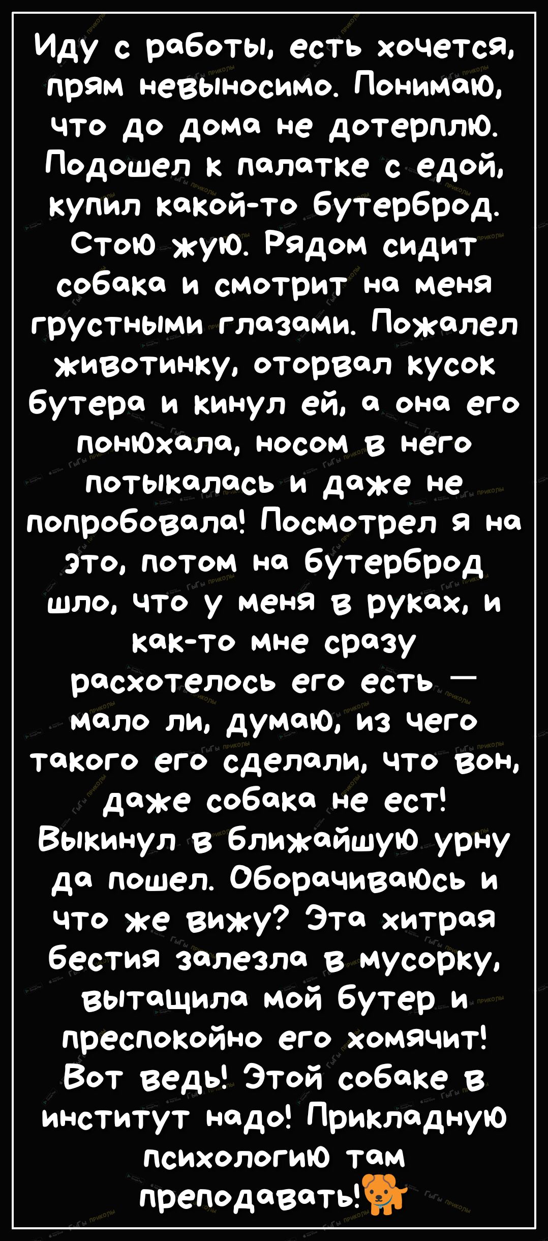 Иду с роботы есть хочется прям невыносимо Понимаю что до дома не дотерплю Подошел палатке с ед0й купил какойто бутерброд Стою жую Рядом сидит собака и смотрит на меня грустными глазами Пожалел животы жу оторвал кусок бутера и кинул ей она его понЮхаля носом в него потыкялясь и даже не попробовала Посмотрел я не это потом на бутерброд шло что у меня в руках и как то мне сразу расхотелось его есть м