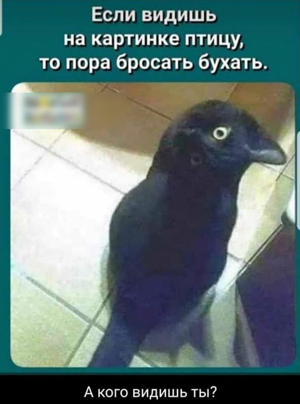 Если видишь на картинке птицу то пора бросать бухать А кого видишь ты