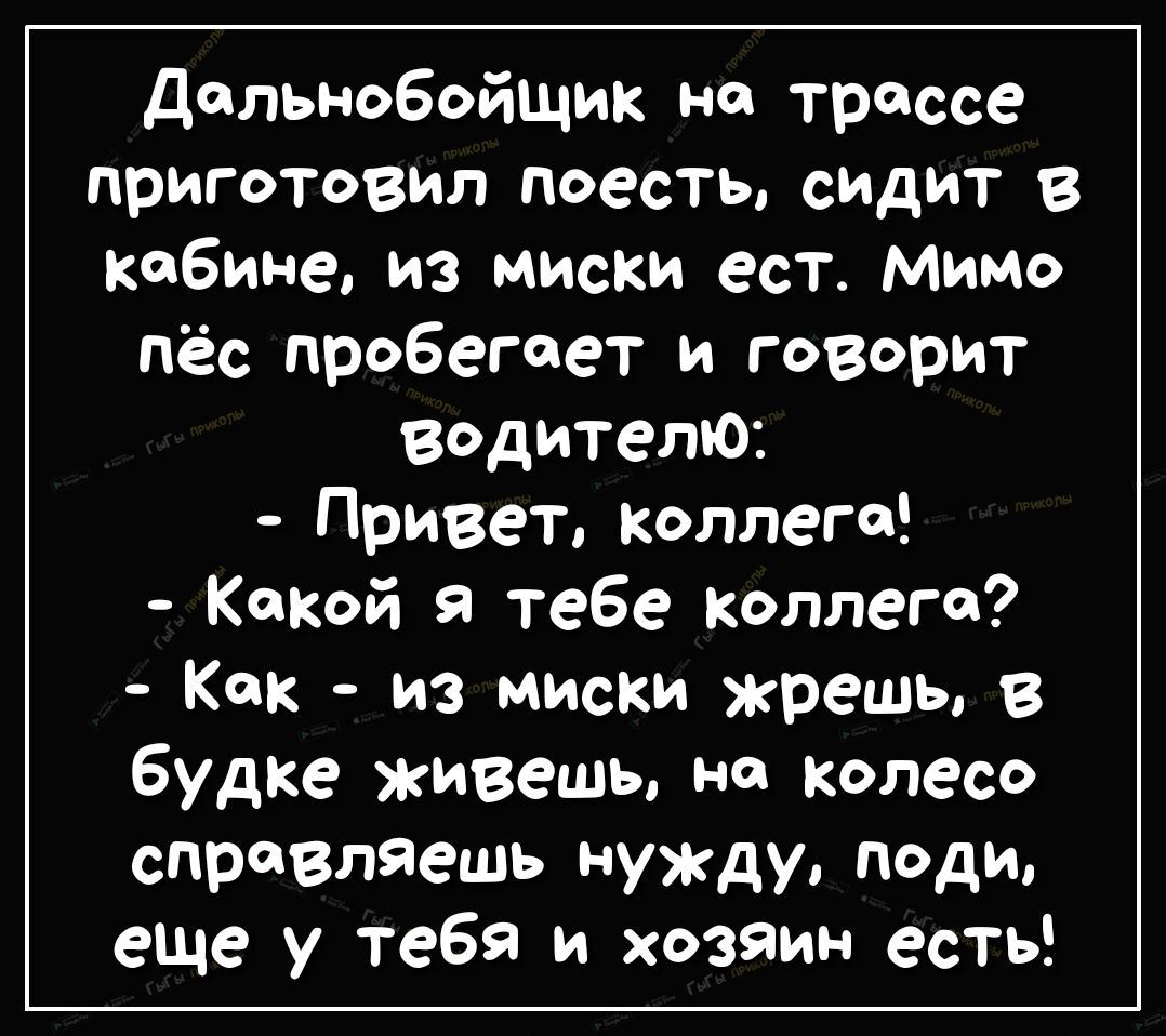 Дальнобойщик на трассе приготовил поесть СИДИТ В кабине из миски ест Мимо пёс пробегает и говорит водителю Привет Коллега Какой я тебе коллеге Как из миски жрешь в будке живешь но колесо справляешь нужду поди еще у тебя и хозяин есть