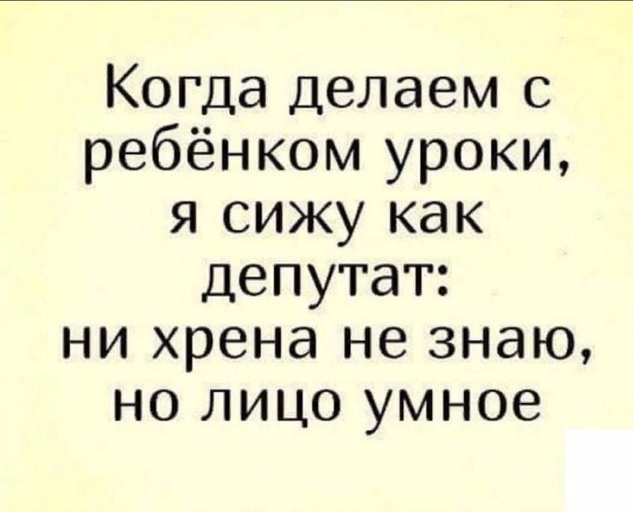 Когда Делаем с ребёнком уроки я сижу как депутат ни хрена не знаю но лицо умное