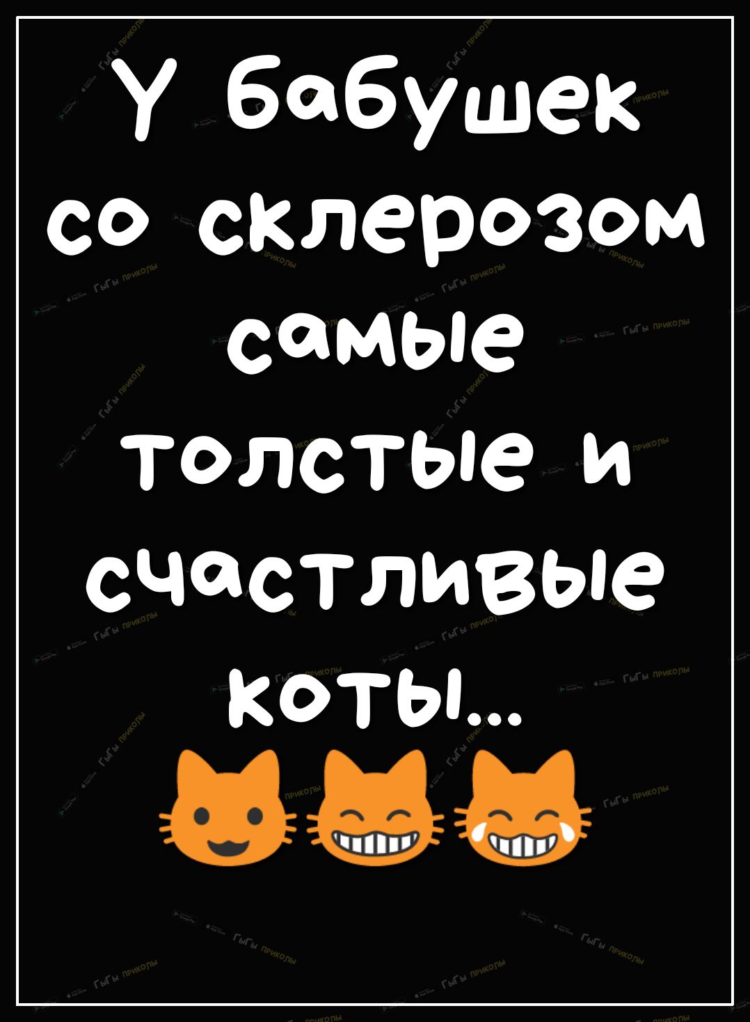 У бабушек со склерозом самые толстые и СЧСТЛИВЫЭ КОТЫ