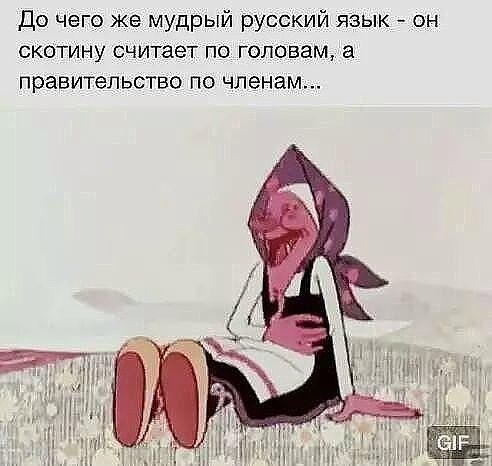 До чего же мудрый русский язык он скотину считает по головам а правительство по членам
