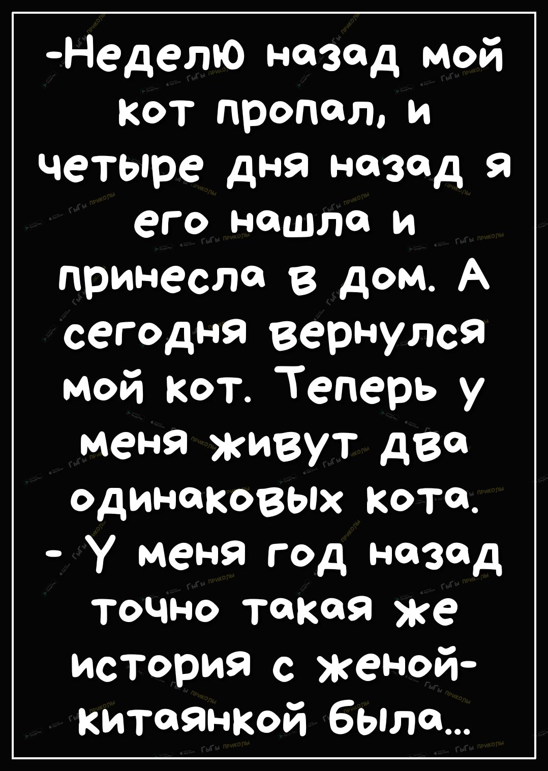 Неделю назад мой кот пропал и четыре дня назад я его нашли и принесли в дом А сегодня вернулся мой кот Теперь у меня живут две одинаковых кота у меня год назад точно такая же история с женой китоянкой Была