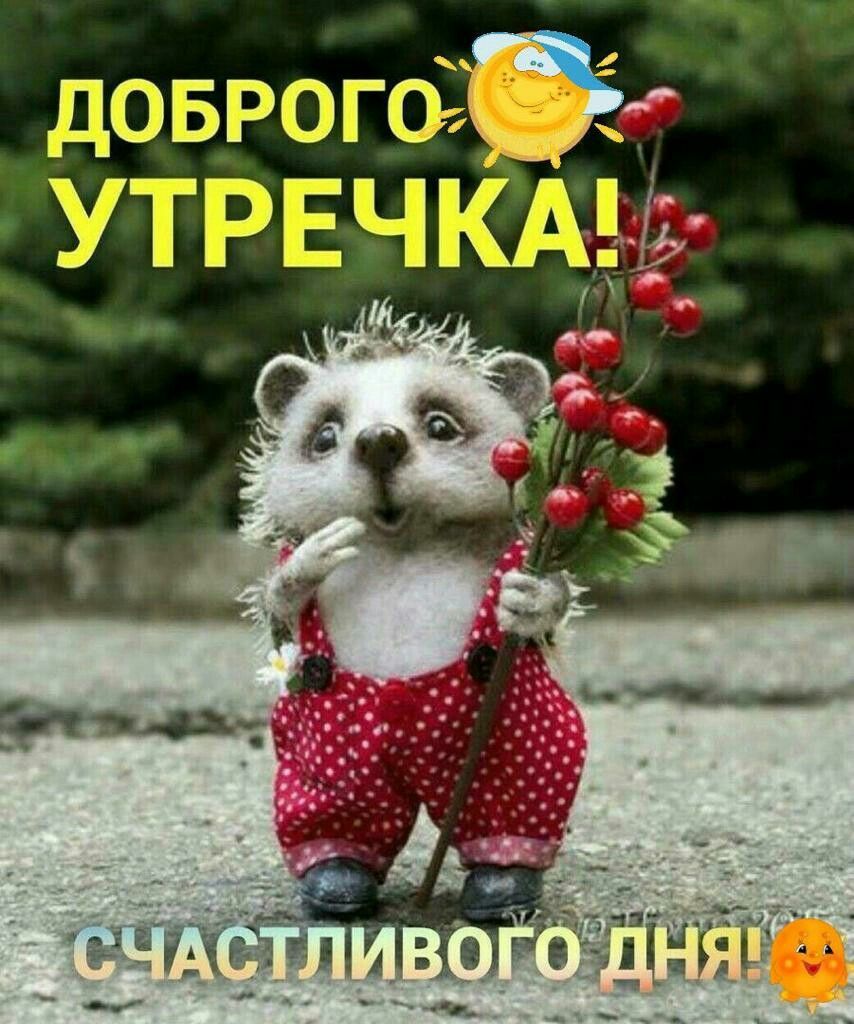 ПБРГО УТРЬЧПЁАП