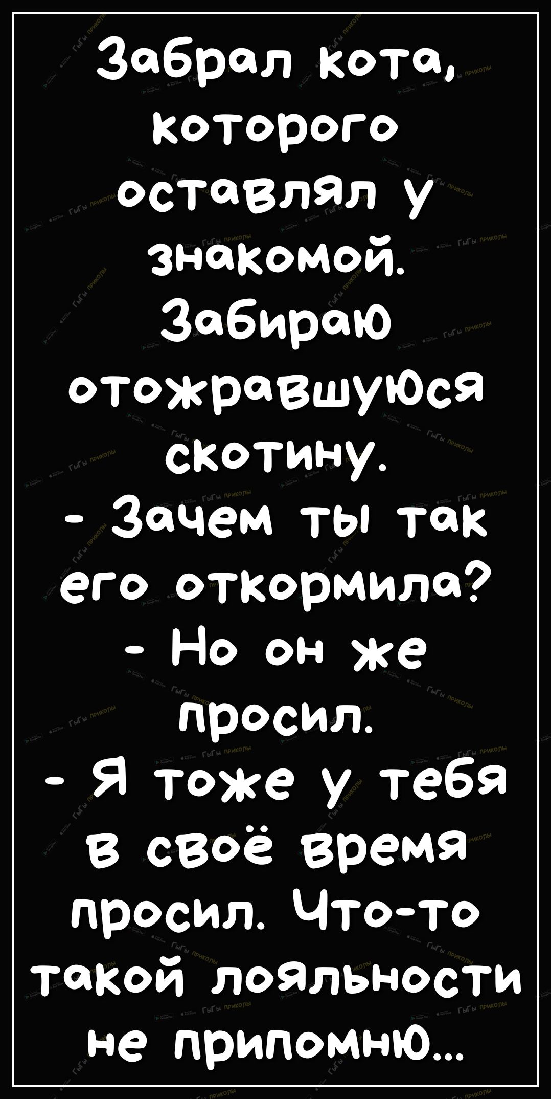 забрал кота Которого оставлял у знакомой Забираю отожрВЩУЮСЯ сКотину Зачем ты так его оТКормило Но он же просил Я тоже у тебя в сзоё время просил Чтото такой лояльности не припомню