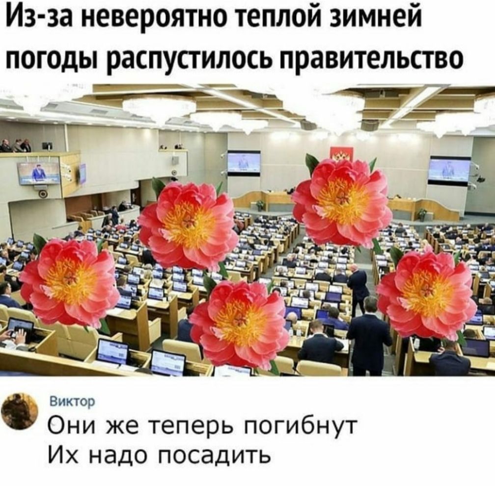 Из за невероятно теплой зимней Виктор Они же теперь погибнут Их надо посадить