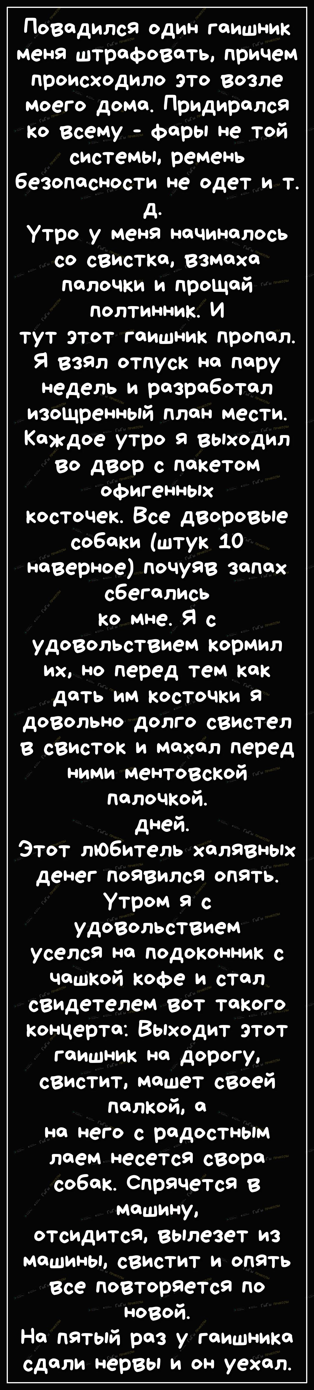 Поводился один гаишник меня штрафовать причем происходило это возле моего дома Придиролся ко всему фары не той системы ремень безопасности не одет и т д Утро у меня начиналось со свистка взмахи палочки и прощай полтинник И тут этот гаишник пропел Я взял отпуск на пору Недель и разработал изощренный план мести Каждое утро я выходил во двор с пакетом офигенных косточек Все дворовые собаки штук 10 не