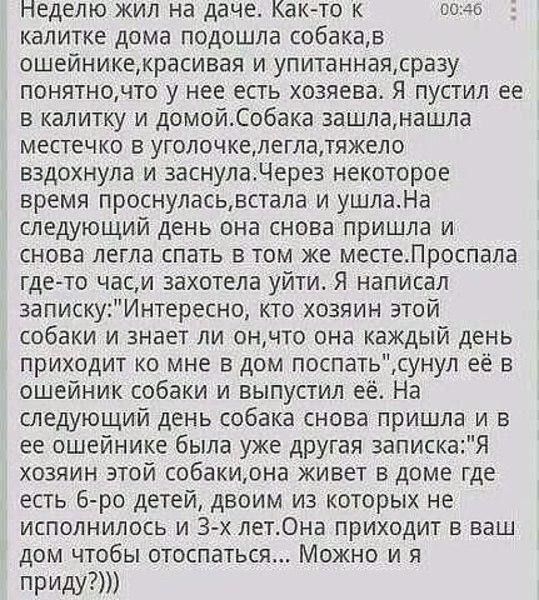 Неделю жил на даче Как то к 0040 калитке дома подошла собакав ошейникекрасивая и упитаннаясразу понятночто у нее есть хозяева Я пустил ее в калитку и домойСобака зашланашла местечко в уголочкелеглатяжело вздохнула и заснуладерез некоторое время проснуласьвстала и ушлаНа следующий день она снова пришла и снова легла спать в том же местеЛроспала где то часи захотела уйти Я написал 3апискуИнтересно к