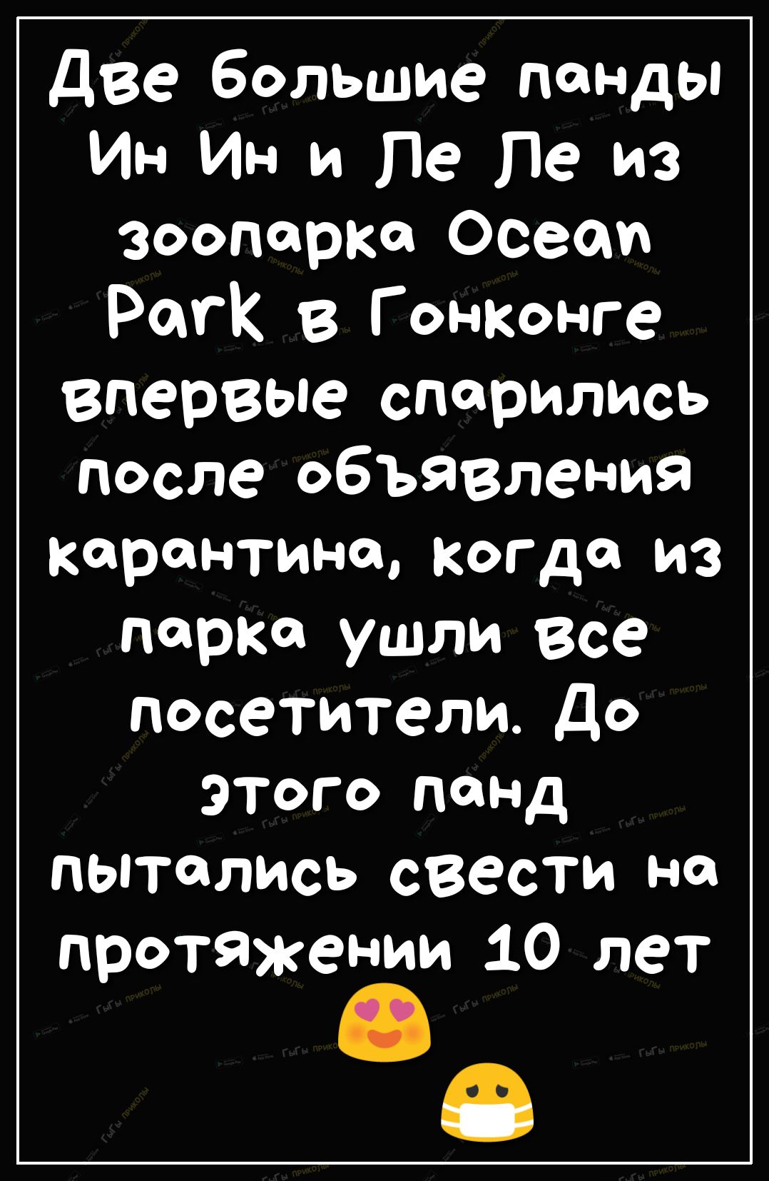 две большие панды Ин Ин и Пе Пе из Зоопарке Осеот Рокк в Гонконге впервые спорились после объявления корон гине когда из парка ушли все посетители До этого понд пьптолись свести на протяжении 10 лет