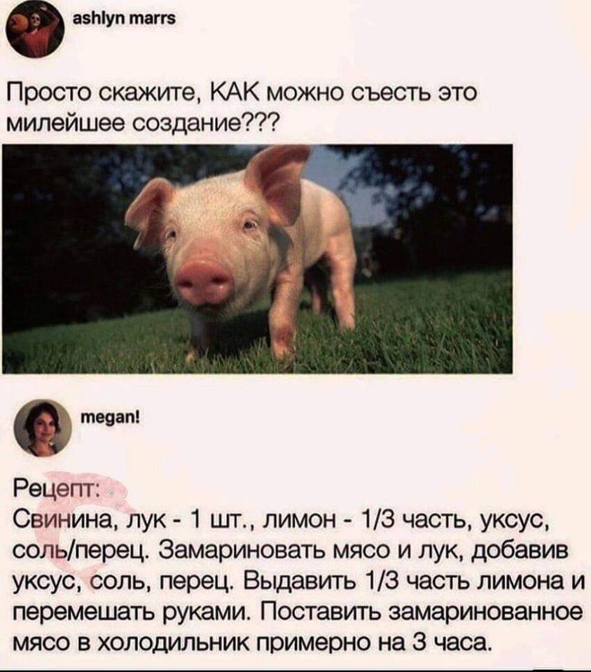 азЫуп твггз Просто скажите КАК можно съесть это милейшее создание теяап Рецепт Свинина лук 1 шт лимон 13 часть уксус сольперец Замариновать мясо и лук добавив уксус соль перец Вьщавить 13 часть лимона и перемешать руками Поставить замаринованное мясо в холодильник примерно на 3 часа