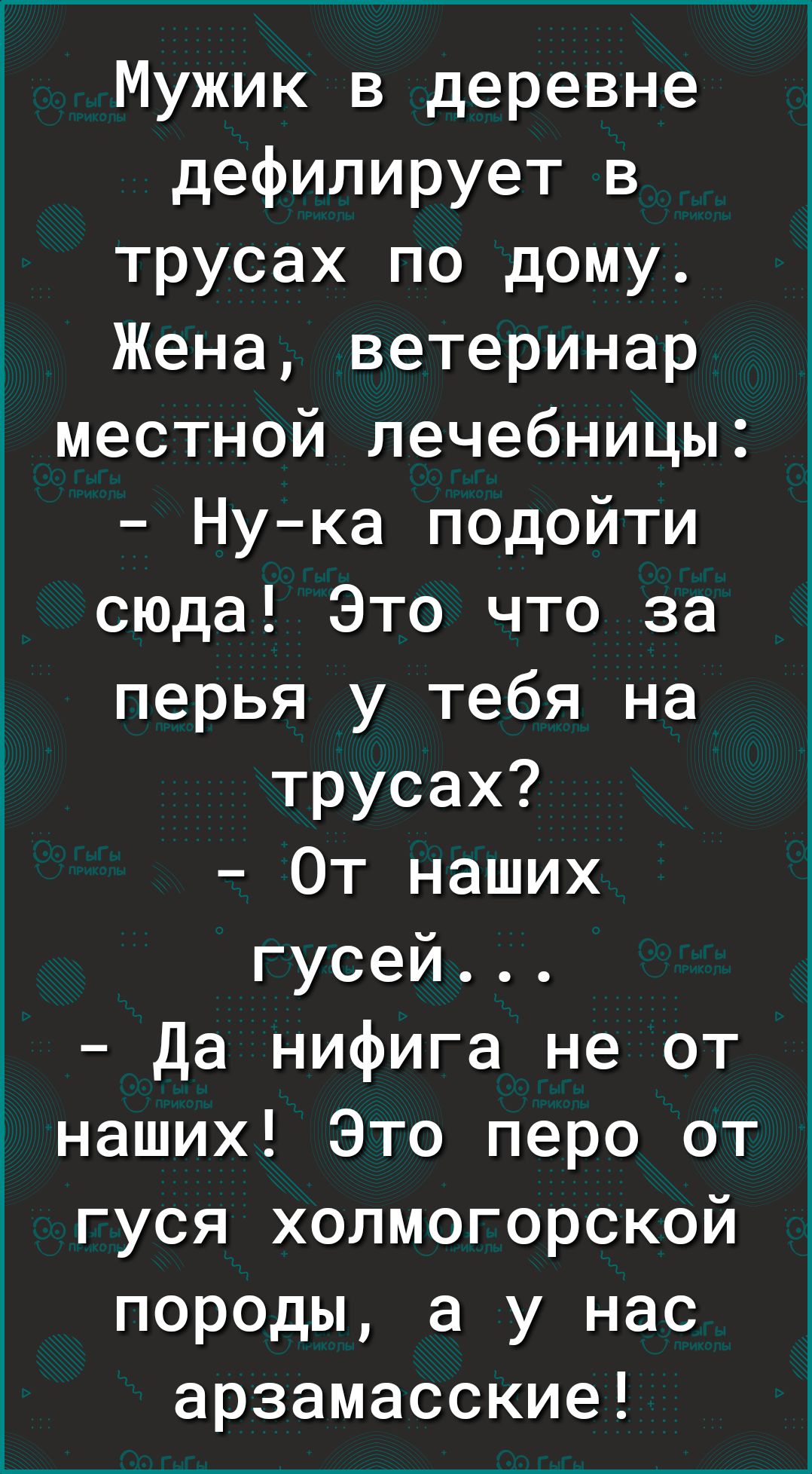 Мужик в деревне дефилирует в трусах по дому Жена ветеринар местной  лечебницы Нука подойти сюда Это что за перья у тебя на трусах От наших  гусей Да нифига не от наших Это