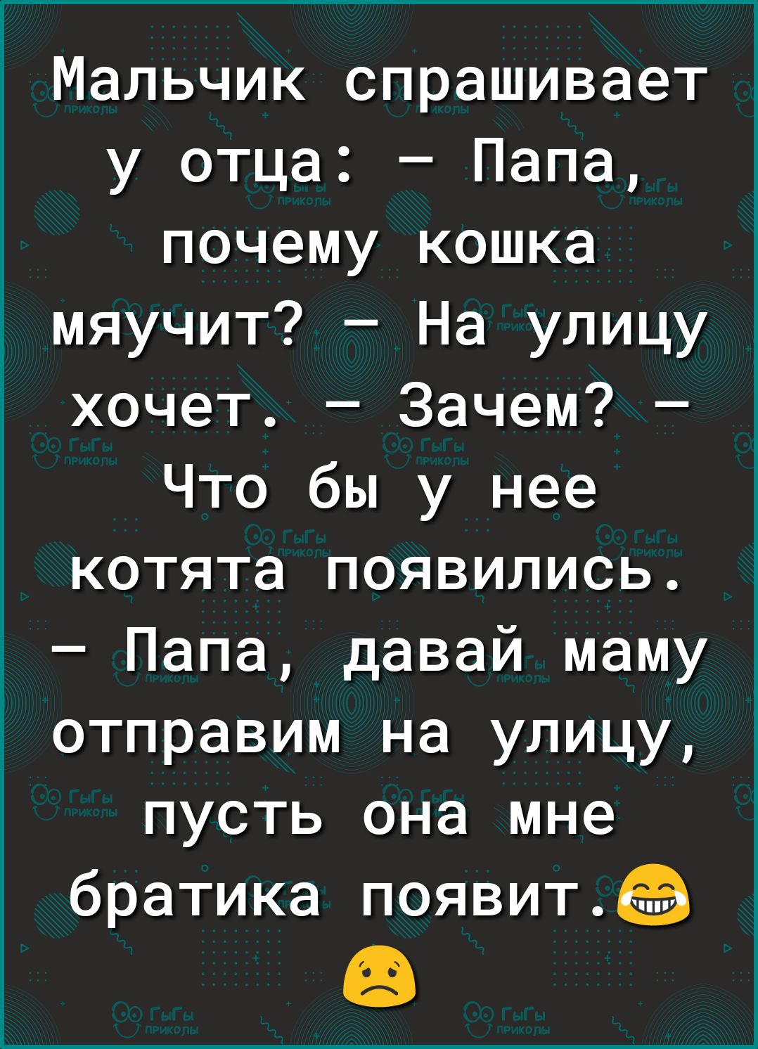 Мальчик спрашивает у отца Папа почему кошка мяучит На улицу хочет Зачем Что бы у нее котята появились Папа давай маму отправим на улицу пусть она мне братика появитЬ