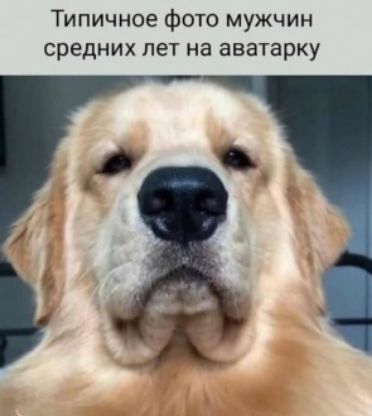 Типичное фото мужчин средних лет на аватарку