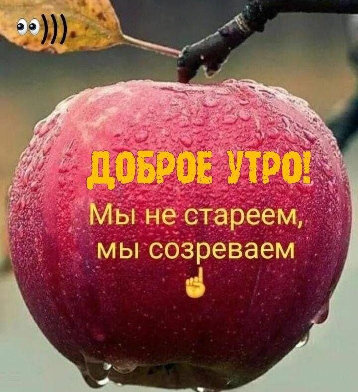 Умы созреваем